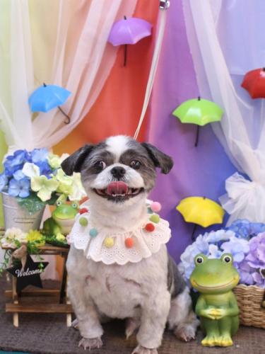 202230630大吉くん